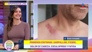 ¿Qué es la enfermedad de Lyme provocada por garrapatas El experto te enseña cómo prevenirlo [upl. by Nylikcaj396]