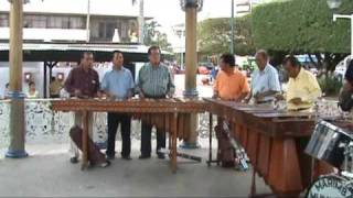 marimba municipal de tapachula en el parque [upl. by Ash552]