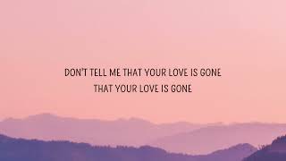 SLANDER  I’m sorry don’t leave me I want you here with me Lyrics  Love Is Gone [upl. by Noraa]