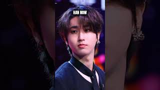 STRAY KIDS PREDUBET VS NOW No hatestraykids [upl. by Amling]