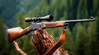 Most Accurate 22 Rifles You Should Buy in 2024 [upl. by Akirdnas]