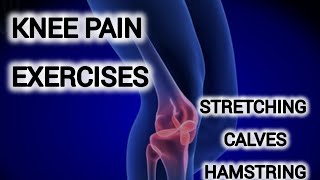 The Best Knee Pain Exercises Part 1 [upl. by Lentha]