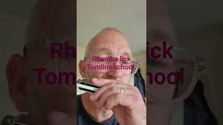 Rhumba lick B from Tomlins harmonica school httpsyoutubecomtomlinharmonica [upl. by Harriott]