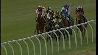 1993 Alpine Double Glazing Derby Trial Stakes [upl. by Fonzie292]