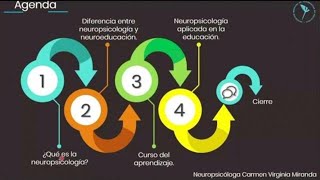 Neuropsicología y Educación [upl. by Nylknarf]