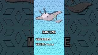 🌊Etimología Pokémon MANTINE y MANTYKE🌊 [upl. by Zobe]