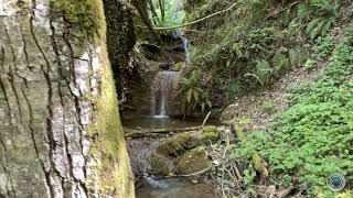 Percorso Naturalistico Cascate Vallone Melaggine a Pergola di Marsico Nuovo [upl. by Yahc849]