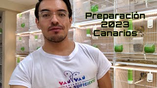 Preparación para la Temporada de Cría 2023 Canarios [upl. by Vastah382]