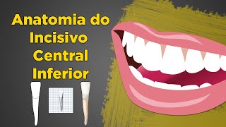 Unidade e Dezena  Conceitos Matemáticos  Educação Infantil [upl. by Nanahs622]