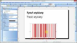 Kurs NiceLabel 01  Tworzenie etykiety podstawy [upl. by Alrzc]