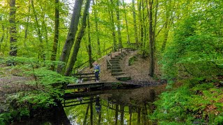 Hiking in Eerbeek  Gelderland  Netherlands [upl. by Ahsenauq]