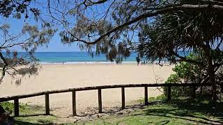 Nature at its finest 😀 Noosa Heads QUEENSLAND AUSTRALIA 🇦🇺 [upl. by Malina736]