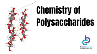 Biochemistry of Polysaccharides  BiochemSerye [upl. by Arul208]