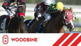 2019 Ontario Damsel Stakes Woodbine September 22 2019  Race 8 [upl. by Dogs]