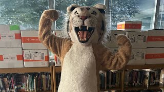 I Became A Wildcat Mascot For A School Event… [upl. by Iaria]