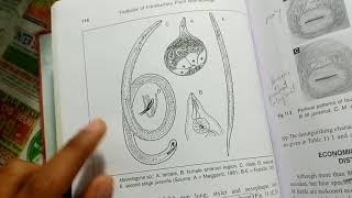 Root knot nematode  Meloidogyne sp [upl. by Leticia]