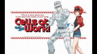 Cells at Work Netflix Trailer [upl. by Adnarem117]