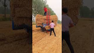 Corn stalk loading tool Bale loading tool Bale loader Bale elevator [upl. by Kimberli]