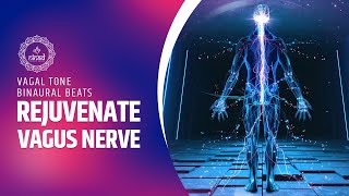 Rejuvenate Vagus Nerve for Serenity and Bliss  Vagal Tone Binaural Beats Meditation Music [upl. by Aicilla]