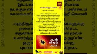 Palli Vilum Palan  பல்லி விழும் பலன் [upl. by Clance]