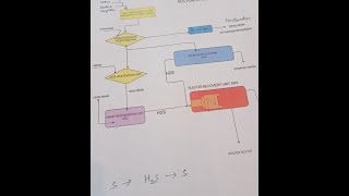 DHDS DHDT HDS ARUATUSRUSWS HDROCRACKING HYDROTREATINGAMINE [upl. by Macdermot]