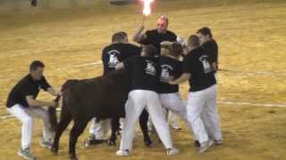 TOROS CASTELLON LA MAGDALENA LA NOCHE DEL TORO DEL MEDITERRÁNEO [upl. by Aynuat]