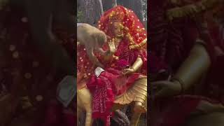 durga hai meri ma🌹ambe hai meri maabhaktistatus viral durgaShalinisri1250 [upl. by Cirilla502]