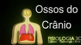 Osteologia  Ossos do Crânio [upl. by Arama131]