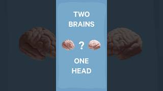 The shocking results of Split Brain Experiment [upl. by Anrak]