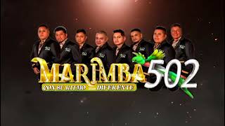 MARIMBA 502 EN VIVO EN LOS ÁNGELES CA MUY PRONTO MUY PRONTO EN JUNIO [upl. by Iosep]