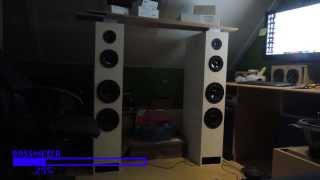 DIY TL Speakers Finished Awesome Bass and clean sound [upl. by Zeidman]