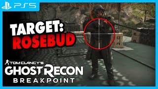 Ghost Recon Breakpoint  Snipestream  BossJagd auf ROSEBUD [upl. by Doownyl279]