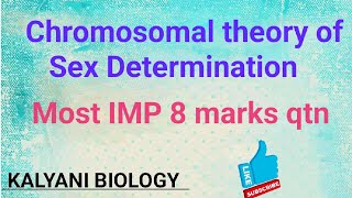 Chromosomal theory of Sex determinationgeneticsMost IMP 8marks qtn Malefemale Heterogametic [upl. by Abihsot]