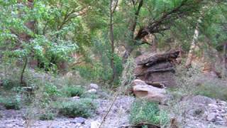 Hell Hole Aravaipa Canyon Wilderness Grand Enchantment Trail [upl. by Trilbee]