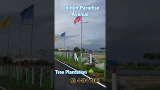 Golden Paradise Avenue Tree Plantation work tree panimugilproperties madurai lowbudgetlandsale [upl. by Tabib325]