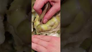 How to cook an artichoke YouTubeCreatorCommunity artichoke artichokes [upl. by Miksen345]