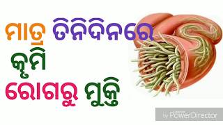 Stomach worms treatment  କୄମି ରୋଗର ଗ୍ୟାରେଣ୍ଟି ଉପଚାର [upl. by Lynus487]