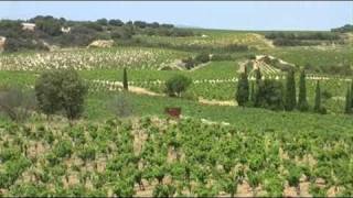 chateauneuf du pape [upl. by Bej]