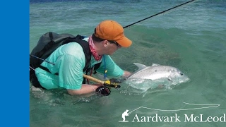 How to fight a giant trevally on the fly [upl. by Luckin276]