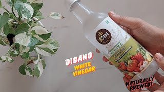 DiSano White Vinegar Review  DiSano White Vinegar Uses  DiSano Naturally Brewed White Vinegar [upl. by Henghold]