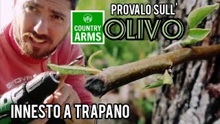 Innesto con trapano prova a innestare lolivo [upl. by Eliam732]