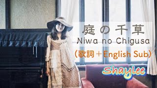 Shaylee  庭の千草 Niwa no chigusa 歌詞付 アイルランド民謡 The last rose of summerJapanease [upl. by Hnoj]