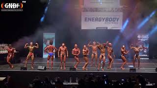 SUPER SCHWERGEWICHT 14 GNBF DM 2017 Natural Bodybuilding [upl. by Siuqram]