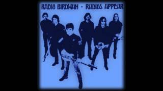 Radio Birdman  Transmaniacon MC [upl. by Mcquade601]