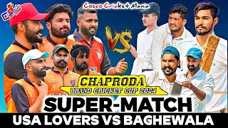 Usa Lover Club Vs Baghewala Club Fazilka Cosco Cricket Mania [upl. by Anibas]