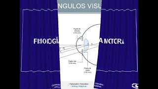 MOTILIDAD OCULAR  OCULAR MOTILITY [upl. by Nilrak]