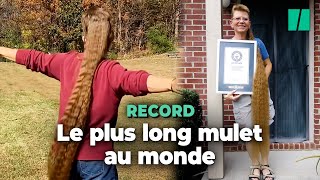 Le record de la plus longue coupe mulet existe et il revient à une Américaine de 58 ans [upl. by Ketchan]