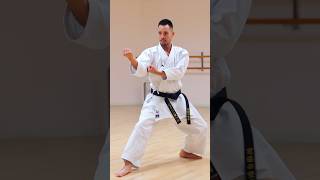 Shotokan Heian Kata Slow version 🥋🔥 [upl. by Anawyt]