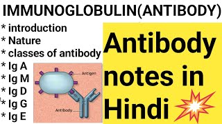 IMMUNOGLOBULIN notes in Hindi ANTIBODY Ig GIg MIg AIg D Ig E lecture in Hindiantibody notes [upl. by Espy]