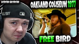 FIRST TIME HEARING Lynyrd Skynyrd  Free Bird LIVE AT OAKLAND COLISEUM 1977  GENUINE REACTION [upl. by Eanahc638]